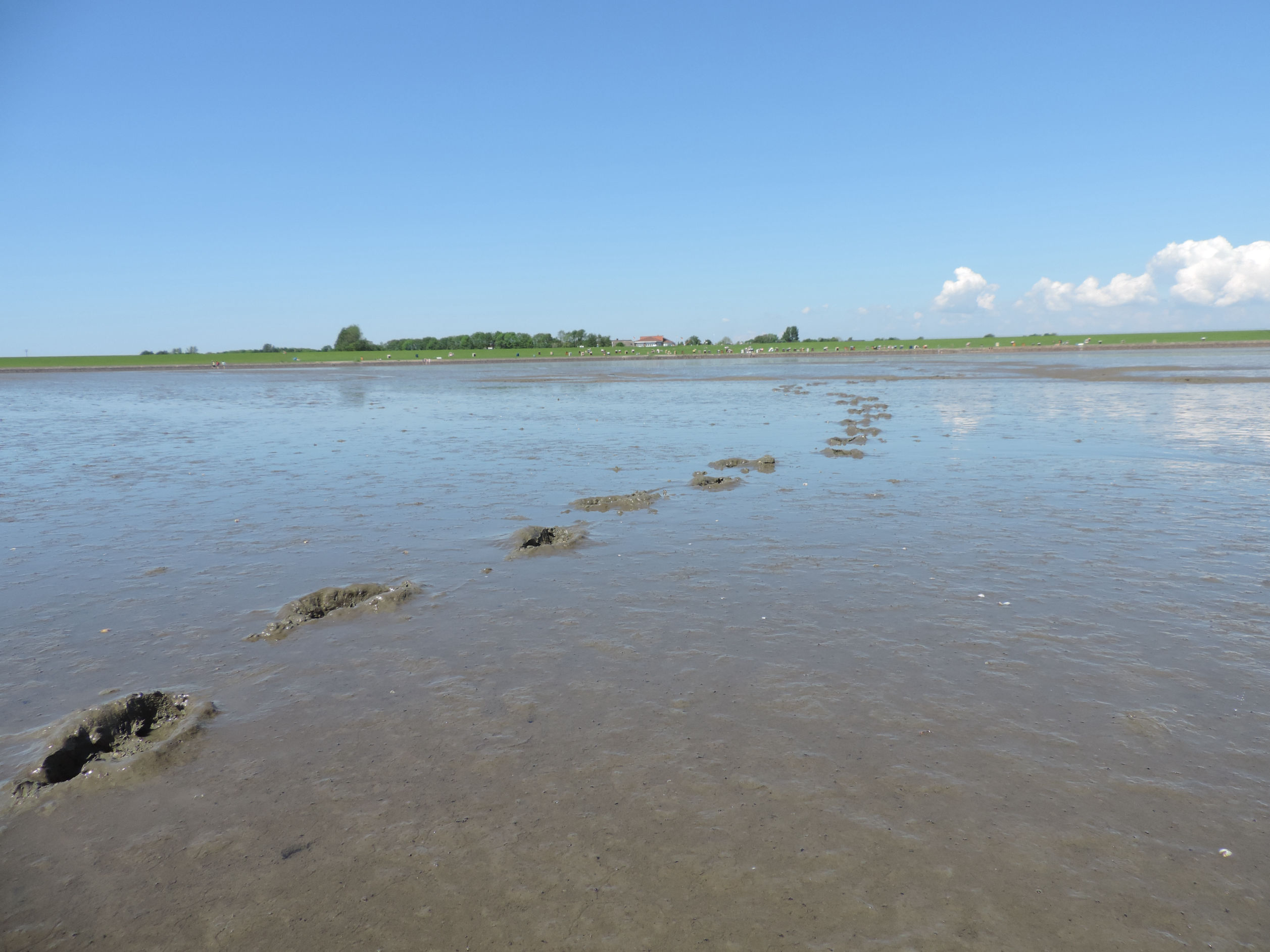 Nordsee Urlaub Büsumer Deichhausen